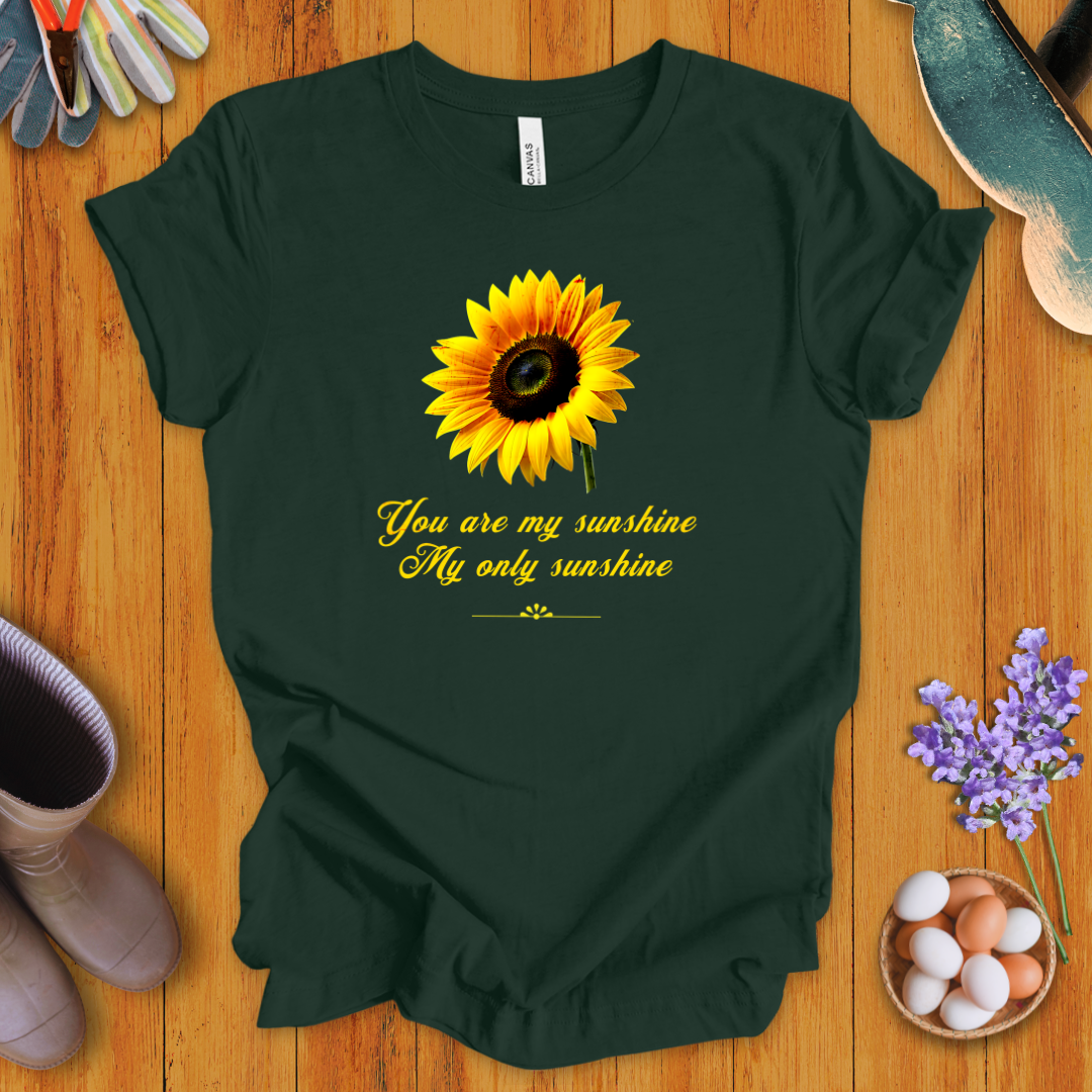 You Are My Sunshine, My Only Sunshine T-Shirt