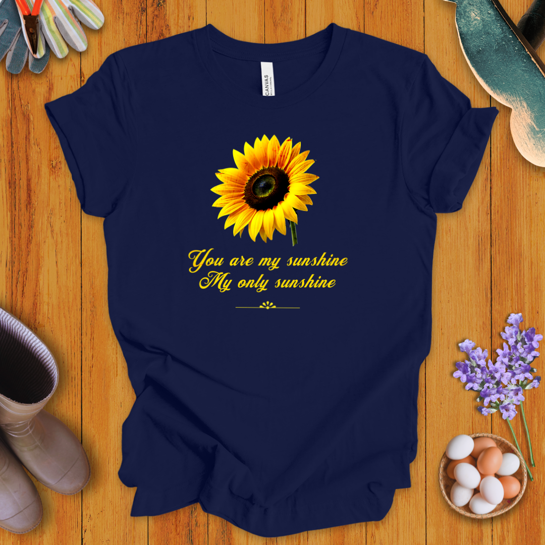 You Are My Sunshine, My Only Sunshine T-Shirt