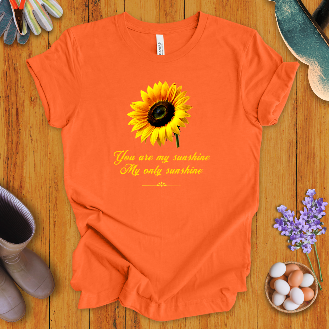 You Are My Sunshine, My Only Sunshine T-Shirt