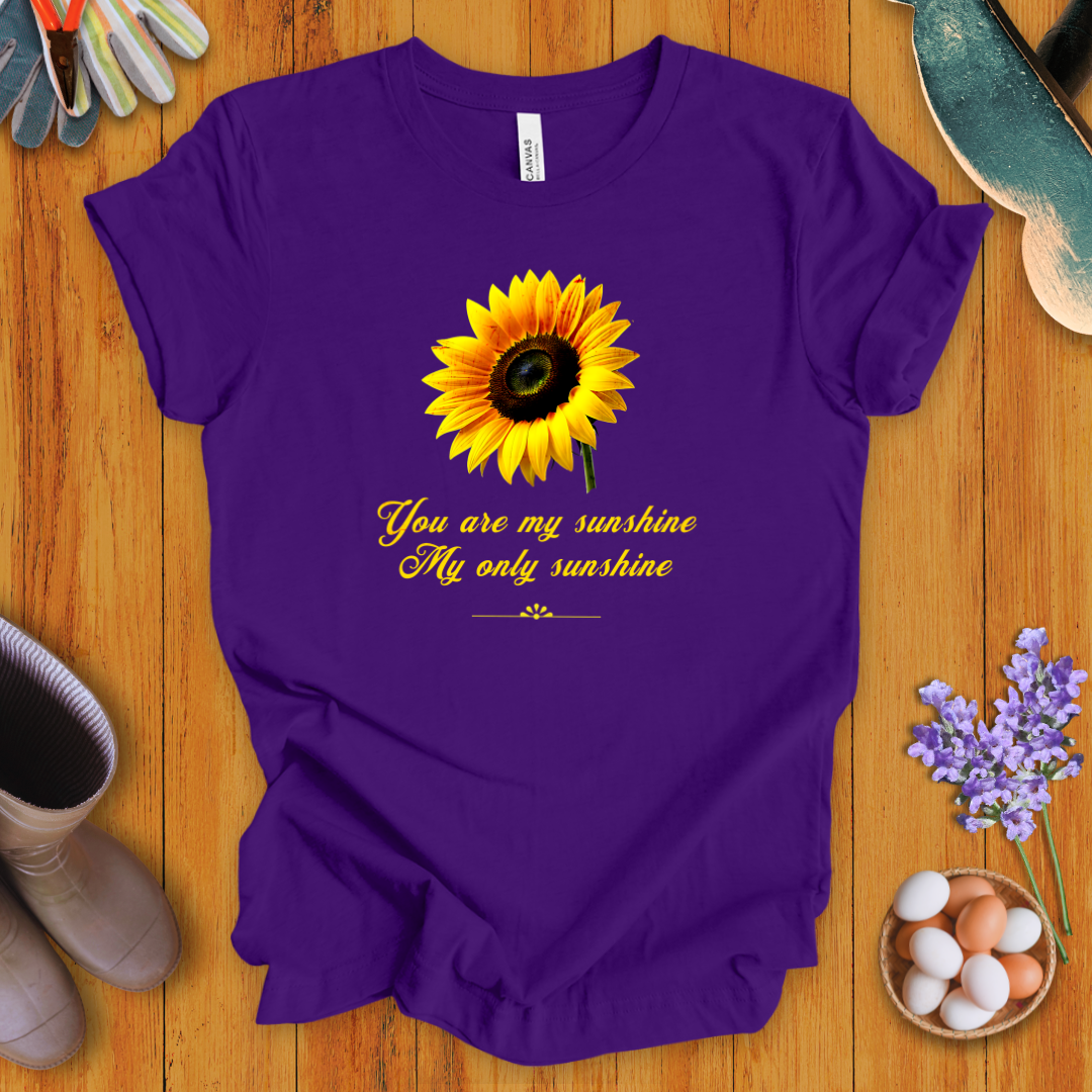 You Are My Sunshine, My Only Sunshine T-Shirt