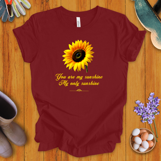 You Are My Sunshine, My Only Sunshine T-Shirt